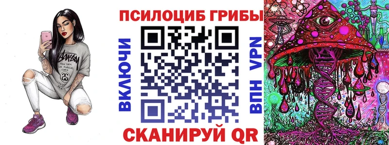 магазин  наркотиков  Тамбов  Псилоцибиновые грибы Psilocybine cubensis 