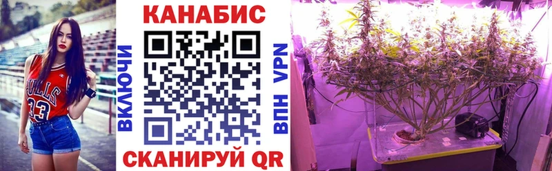 Бошки марихуана индика  кракен зеркало  Тамбов 